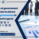 A look at government policies to attract foreign investors in North Cyprus