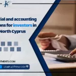 Financial and accounting solutions for investors in North Cyprus