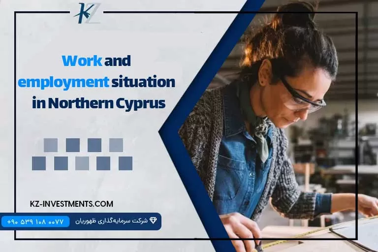 Work and employment situation in Northern Cyprus
