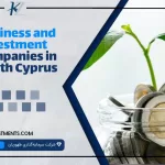 Business and investment companies in North Cyprus