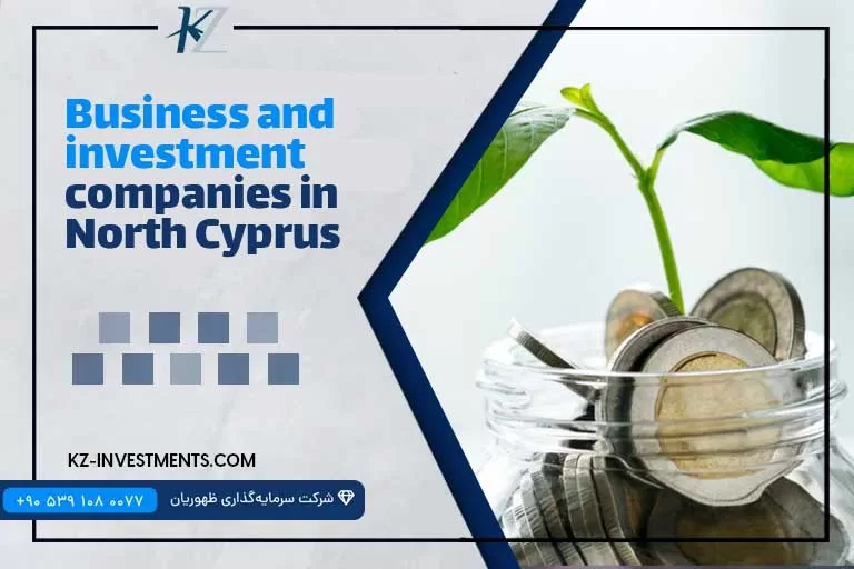 Business and investment companies in North Cyprus