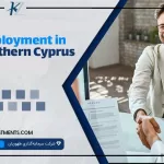 Comparison of entrepreneurship and employment in North Cyprus