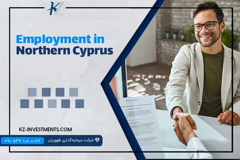 Comparison of entrepreneurship and employment in North Cyprus